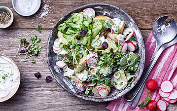 Gurken-Kartoffel-Salat mit Quark