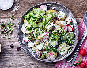 Gurken-Kartoffel-Salat mit Quark