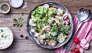 Gurken-Kartoffel-Salat mit Quark