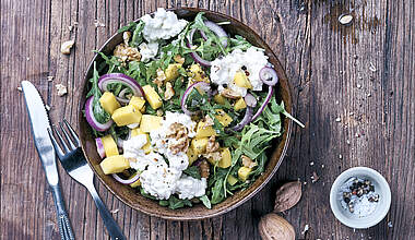 Bunter Salat mit Körnigem Frischkäse