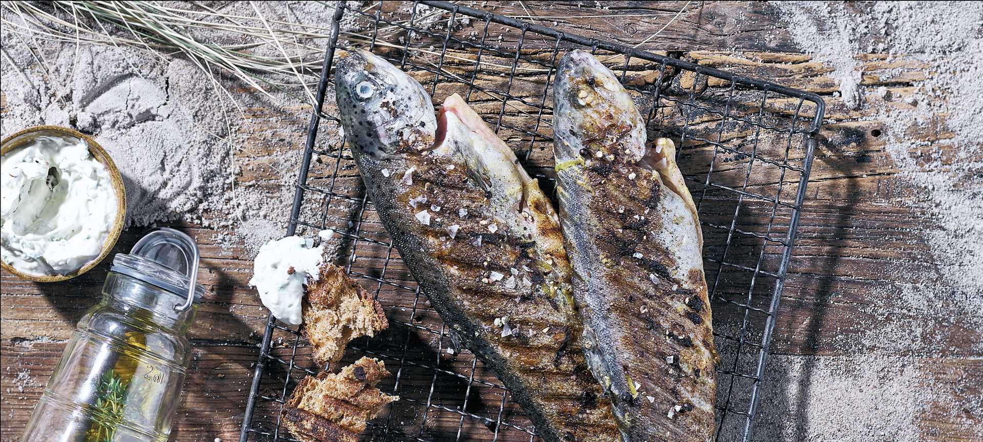 Rezeptbild für Gegrillte Forellen mit Tomaten-Dip